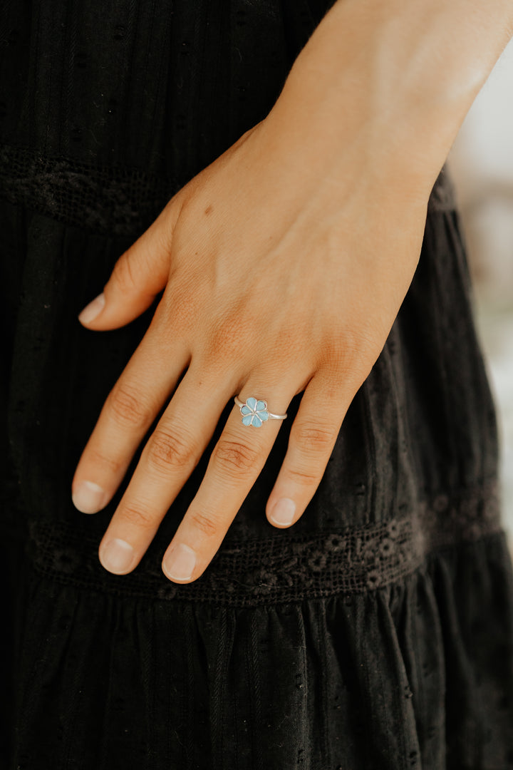 The Pradera Ring