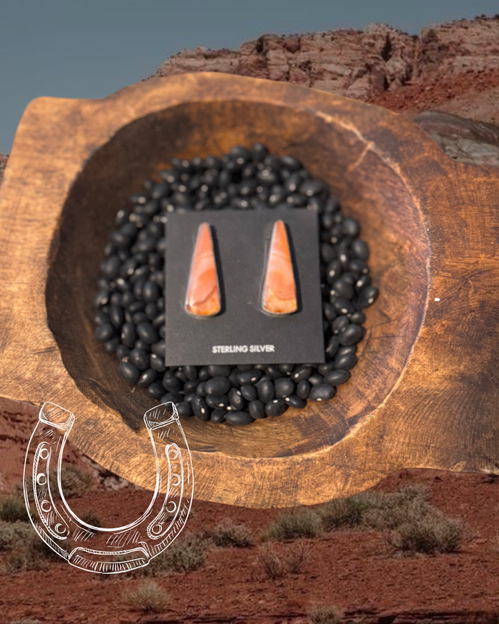 The Sherbert Earrings